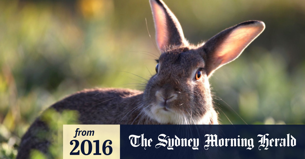 HSC Earth and Environmental Science